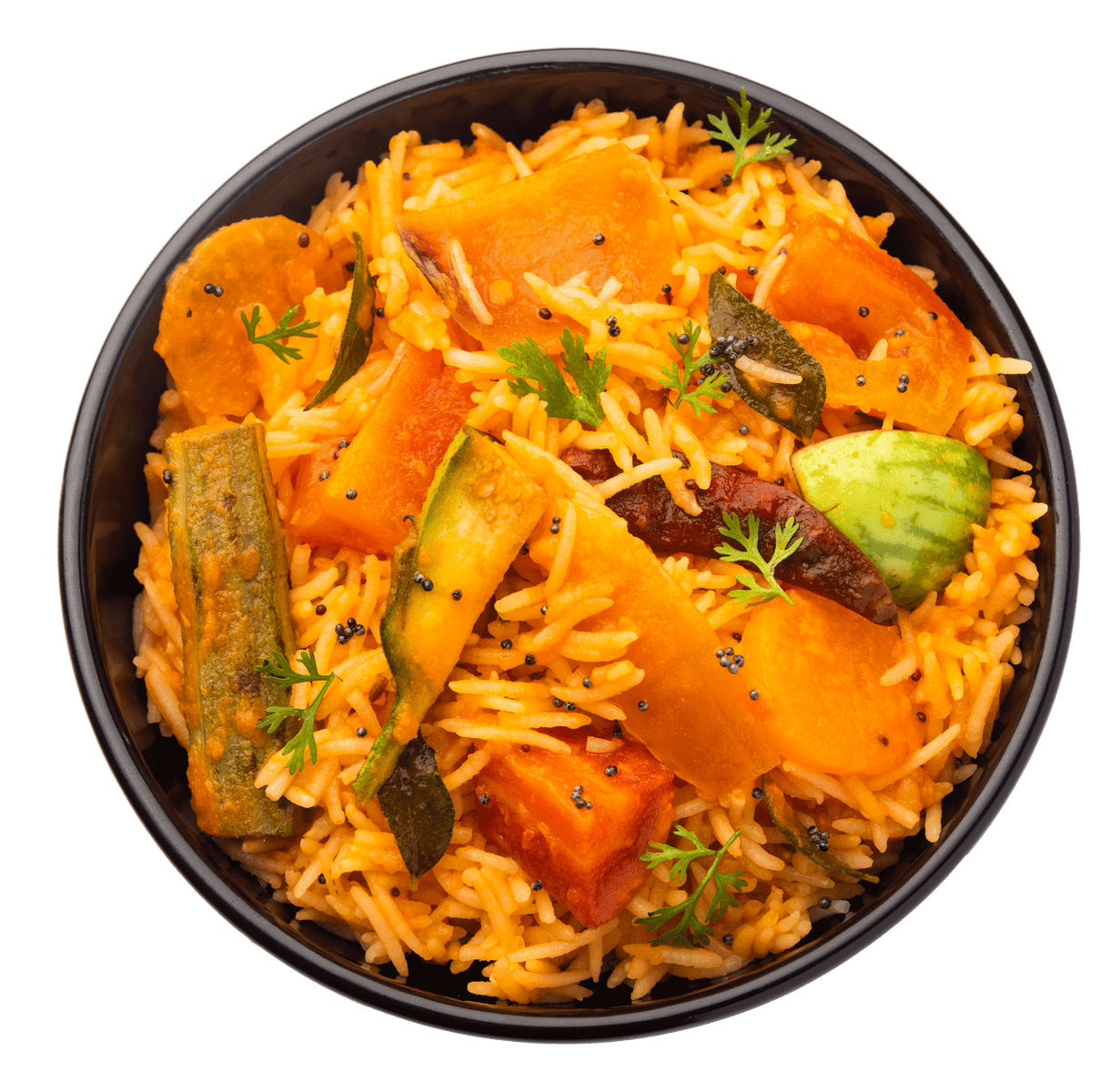 dish1